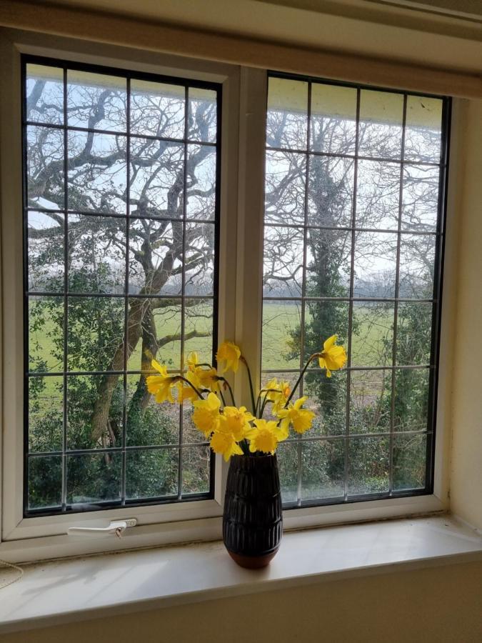 Lovely 2-Bedroom New Forest Apartment On A Farm New Milton Eksteriør billede